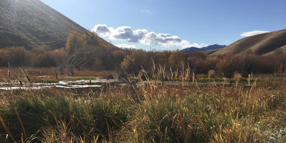 Pat Boas, Commissioned Artist, Deeds not Words: Women Working for Change