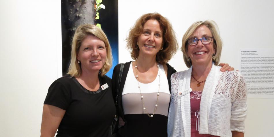 Catherine Chalmers at SVMoA