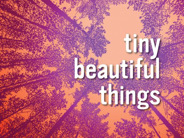 Company of Fools Tiny Beautiful Things