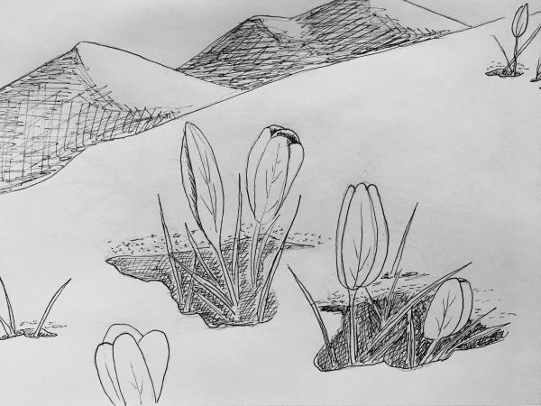 Doodle & Drink - Frost & Yolan I