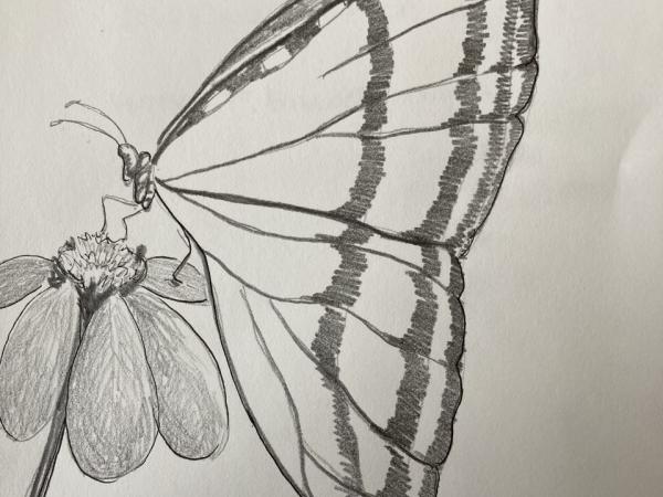 Doodle & Drink- Thoreau Adult