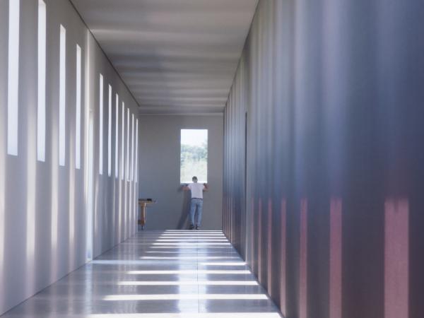 Robert Irwin: A Desert of Pure Feeling 