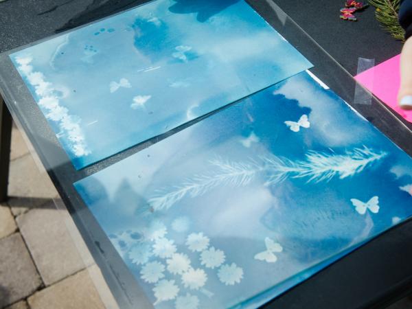 WORKSHOP: Botanical Cyanotypes with Ashley Larson